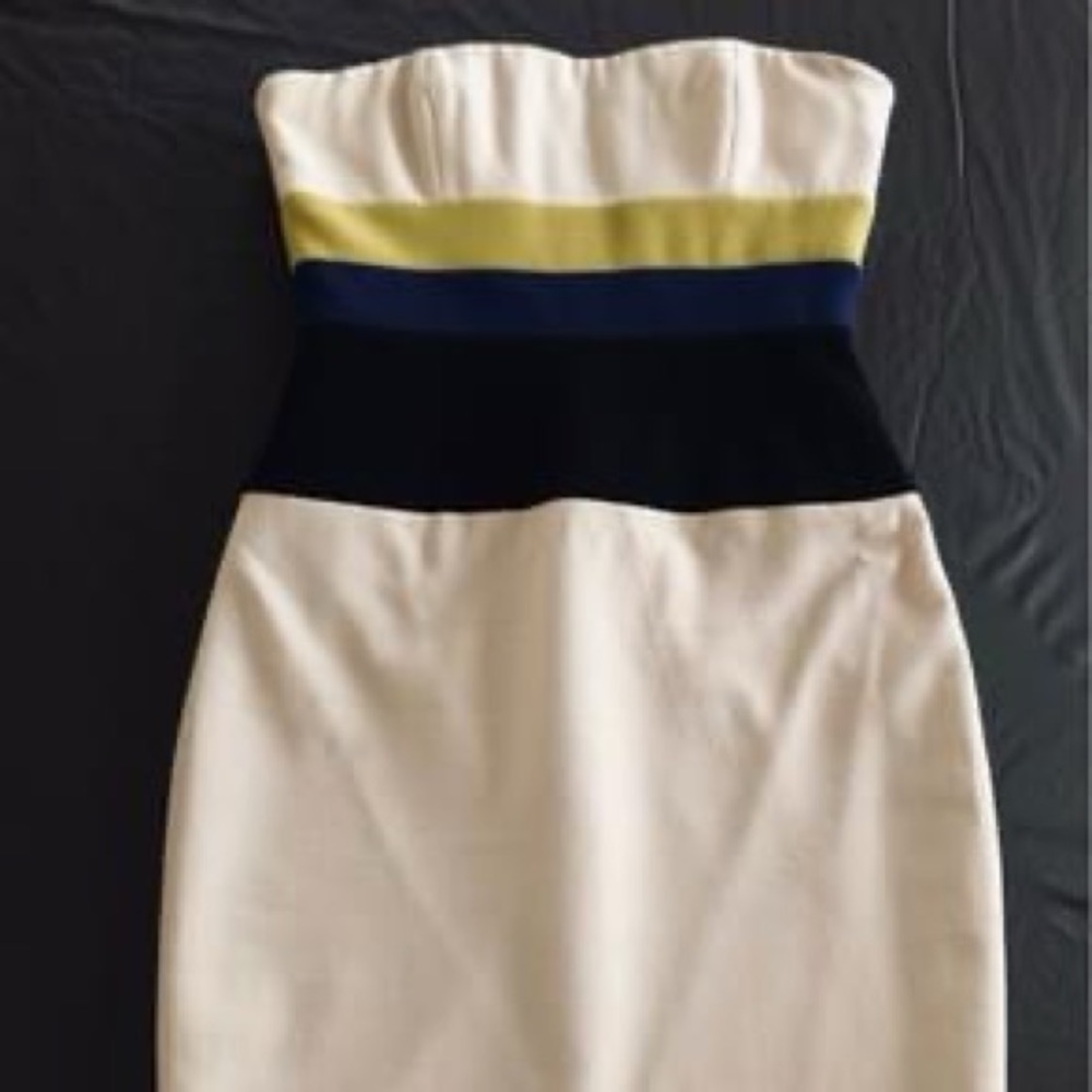 BCBG Holiday Cocktail Dress